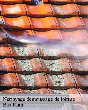 SCHEIT COUVERTURE 67 spécialiste du nettoyage de toiture dans le 67