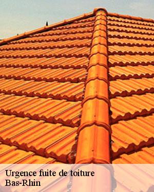 Réparation de toiture : pourquoi devez-vous impérativement faire confiance à un couvreur professionnel ? 