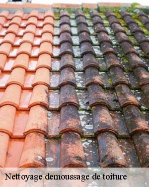 SCHEIT COUVERTURE 67 spécialiste du nettoyage de toiture à Barembach 
