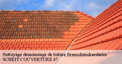 SCHEIT COUVERTURE 67 spécialiste du nettoyage de toiture à Breuschwickersheim 