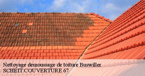 SCHEIT COUVERTURE 67 spécialiste du nettoyage de toiture à Buswiller 