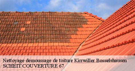 SCHEIT COUVERTURE 67 spécialiste du nettoyage de toiture à Kirrwiller Bosselshausen