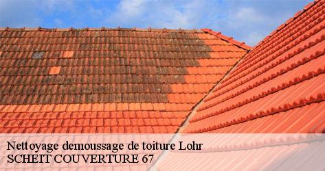 SCHEIT COUVERTURE 67 la meilleure solution pour le nettoyage et démoussage de toit!