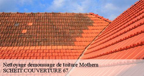 Démoussage de toiture : quels sont les techniques proposés par SCHEIT COUVERTURE 67
