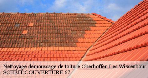 Démoussage de toiture : une opération qui nécessite un grand savoir-faire