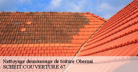 SCHEIT COUVERTURE 67 spécialiste du nettoyage de toiture à Obernai 