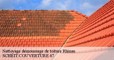 SCHEIT COUVERTURE 67 l'expert en élimination des impuretés sur les tuiles