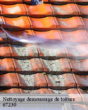 SCHEIT COUVERTURE 67 spécialiste du nettoyage de toiture à Rossfeld 