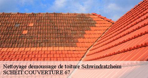  Entreprise de nettoyage et de démoussage de toiture : choisissez SCHEIT COUVERTURE 67