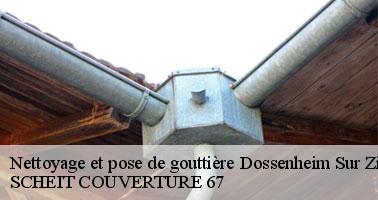 Quel couvreur contacter pour le changement et la pose de sa gouttière à Dossenheim Sur Zinsel ?
