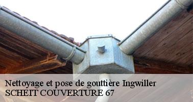 Pourquoi opter pour une pose de gouttière en zinc ?