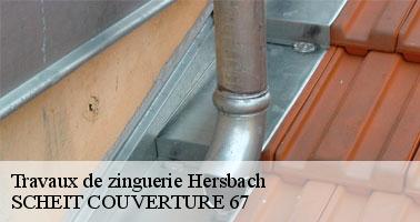 Exigez des devis auprès des zingueurs intervenant dans la ville de Hersbach