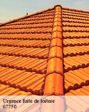 Infiltration de toiture : tournez-vous d’urgence vers les services de SCHEIT COUVERTURE 67