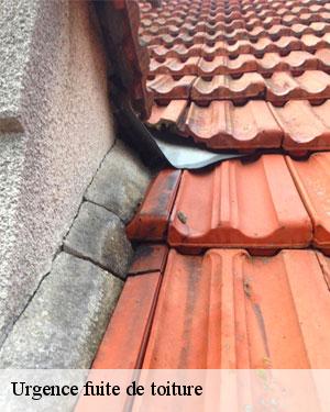 Réparation de toiture : une tâche à confier au couvreur SCHEIT COUVERTURE 67